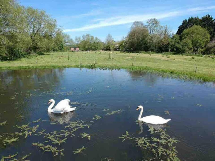 Riverside Retreat Daire Taunton Dış mekan fotoğraf